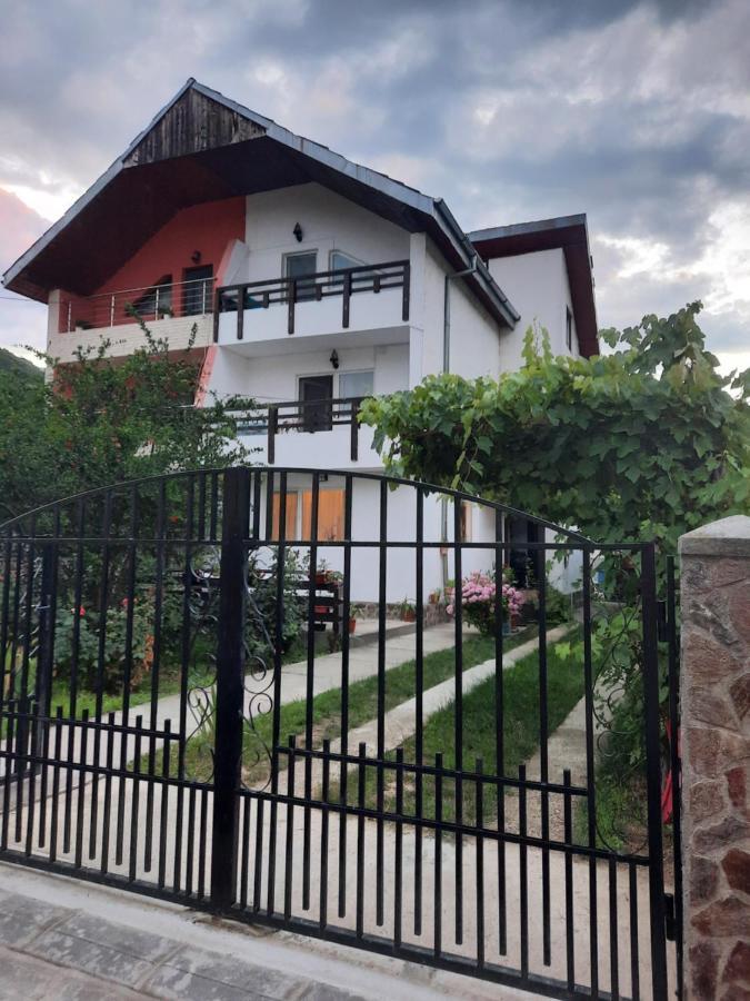 Casa Lica Apartment Caciulata Exterior photo
